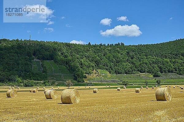 Landschaft mit Heuwiese und Strohballen  Großheubach  Miltenberg  Untermain  Spessart  Franken  Bayern  Deutschland  Europa