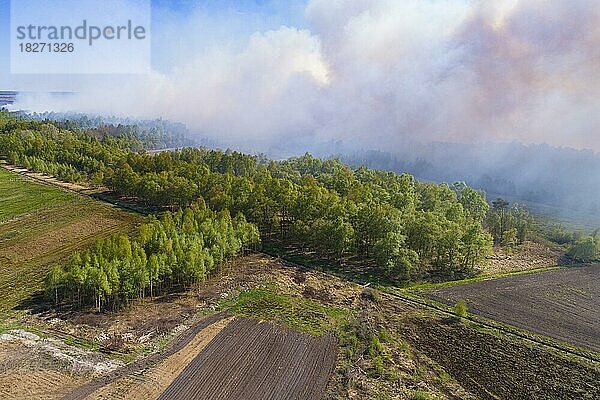 Brand im Goldenstedter Moor  Moorbrand  Goldenstedt  Niedersachsen  Deutschland  Europa