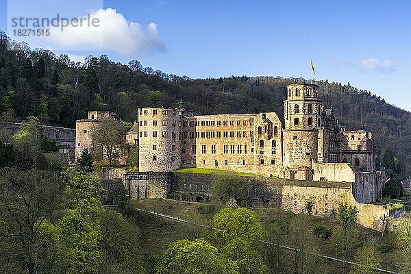 Heidelberg  das historische Schloss an einem sonnigen Tag im Frühling  Rhein-Neckar-Kreis  Baden-Württemberg  Deutschland  Europa