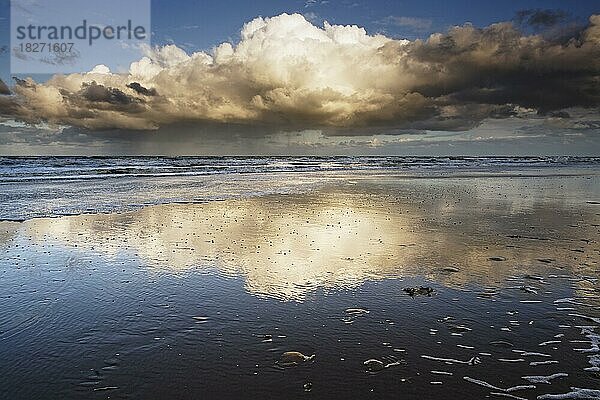 Nordsee  eine dramatische Wolke spiegelt sich im nassen Sandstrand  wechselhaftes Wetter  Egmond aan Zee  Nordholland  Niederlande  Europa