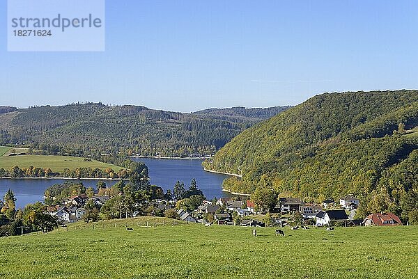 Ausblick auf den Ort Heringhausen am Diemelsee im Herbst  Naturpark Diemelsee  Hessen  Deutschland  Europa