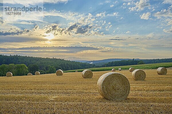 Landschaft mit Heuwiese und Strohballen bei Sonnenuntergang  Großheubach  Miltenberg  Spessart  Franken  Bayern  Deutschland  Europa