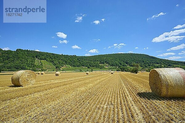 Landschaft mit Heuwiese und Strohballen  Großheubach  Miltenberg  Untermain  Spessart  Franken  Bayern  Deutschland  Europa