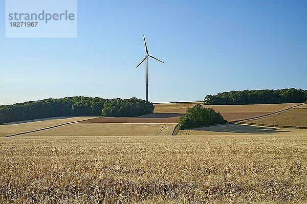 Getreidefeld mit Wald und Windturbine  Sommer  Würzburg  Franken  Bayern  Deutschland  Europa