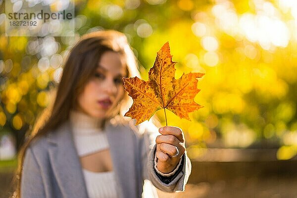 Eine hübsche Frau genießt den Herbst in einem Park bei Sonnenuntergang und zeigt ein Blatt von einem Baum