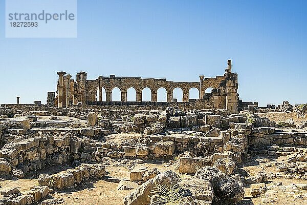 Gut erhaltene römische Ruinen in Volubilis  Region Fez-Meknes  Marokko  Nordafrika  Afrika