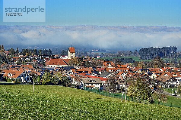 Bick vom Blender auf Wiggensbach mit Nebelschwaden bei Kempten  Allgäu  Schwaben  Bayern  Deutschland  Europa