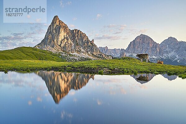 Bergsee mit Bergpanorama bei Sonnenaufgang  Kühe und Spiegelung  Ra Gusala  Passo Giau  Dolomiten  Cortina dAmpezzo  Italien  Europa