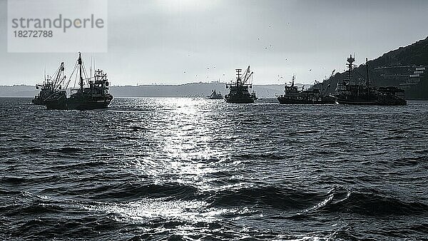 Silhouetten von Fischfangbooten  Trawler auf dem Bosporus  monochrom  Sariyer  Istanbul  Türkei  Asien