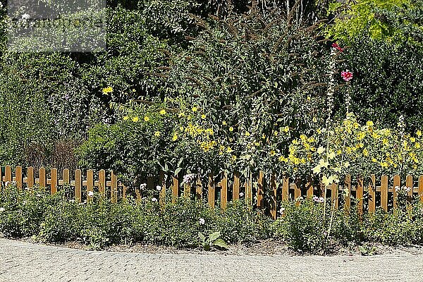 Zaun  Holzzaun  Gartenzaun  Blumen  Deutschland  Europa