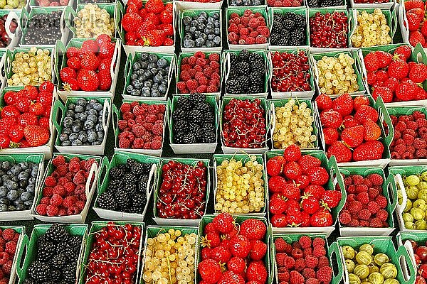 Marktstand mit Beerenobst in der Provence  Frankreich  Europa