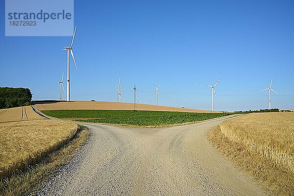 Verzweigter Feldweg mit Gerstenfeld und Windrädern im Sommer  Würzburg  Franken  Bayern  Deutschland  Europa