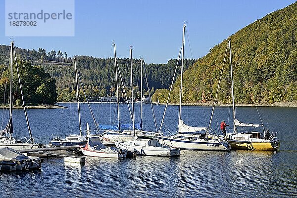 Ausblick über den Diemelsee mit Bootsanleger  Herbst  Naturpark Diemelsee  Hessen  Deutschland  Europa