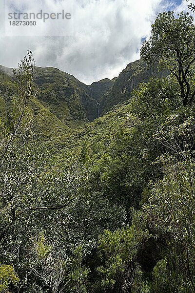 Bewaldete Berge mit Wasserfall  Risco-Wasserfall  Ausblick vom Wanderweg an der Levada das 25 Fontes  Rabacal  Madeira  Portugal  Europa