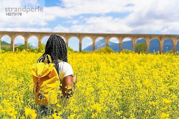 Von hinten ein Mädchen schwarzer Ethnie mit Zöpfen  Sonnenbrille  Reisende  in einem Feld mit gelben Blumen