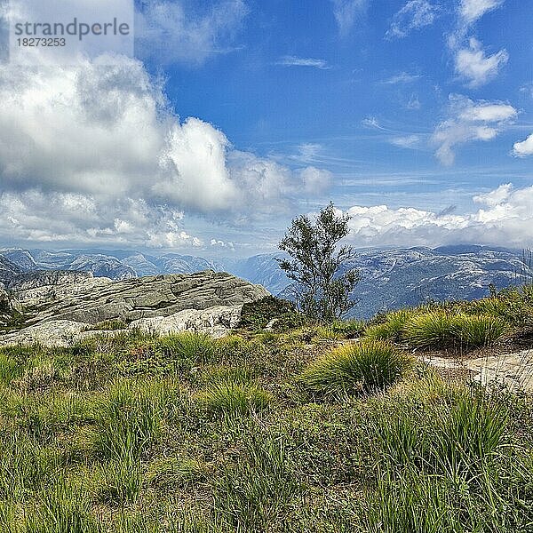 Karge Landschaft am Wanderweg zum Preikestolen  Norwegen  Europa