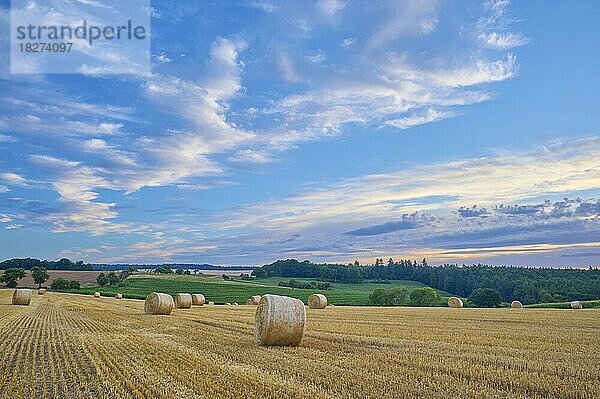 Landschaft mit Heuwiese und Strohballen bei Sonnenuntergang  Großheubach  Miltenberg  Spessart  Franken  Bayern  Deutschland  Europa