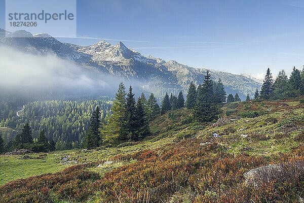 Herbstliche Almwiese mit Nebel  Glöcknerin  Radstätter Tauern  Obertauern  Pongau  Salzburg  Österreich  Europa