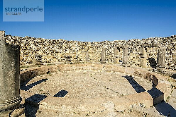 Gut erhaltene römische Ruinen in Volubilis  Region Fez-Meknes  Marokko  Nordafrika  Afrika