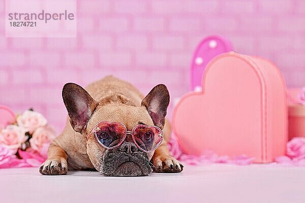 Französische Bulldogge Hund trägt rosa herzförmigen Valentinstag Brille zwischen saisonalen Dekoration