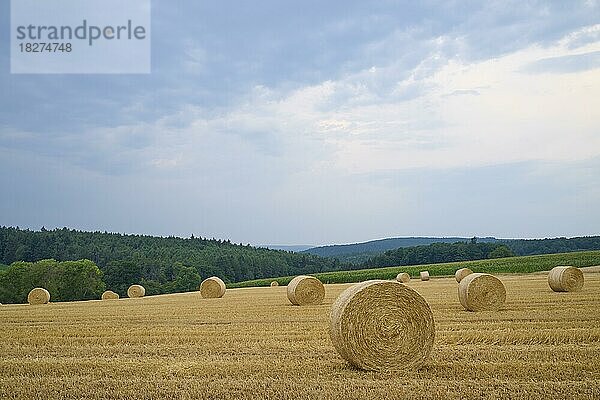 Landschaft mit Heuwiese und Strohballen  Großheubach  Miltenberg  Spessart  Franken  Bayern  Deutschland  Europa