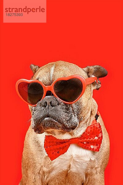 Französische Bulldogge mit herzförmiger Valentinstagsbrille und Fliege auf rotem Hintergrund