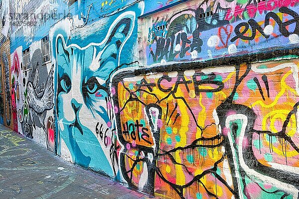 Werregarenstraatje  Kopfsteinpflastergasse ist eine Graffiti Gasse mit bunter Street-Art  Gent  Ostflandern  Flandern  Vlaanderen  Belgien  Europa