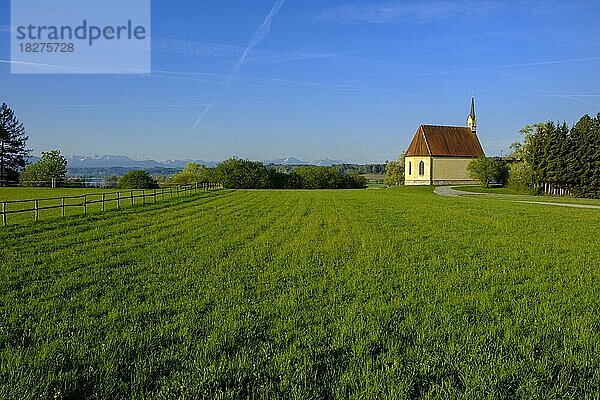 Kirche St. Koloman Coloman am Tachinger See  Taching  Rupertiwinkel  Chiemgau  Oberbayern  Bayern  Deutschland  Europa