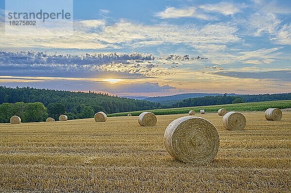 Landschaft mit Heuwiese und Strohballen bei Sonnenuntergang  Großheubach  Miltenberg  Spessart  Franken  Bayern  Deutschland  Europa