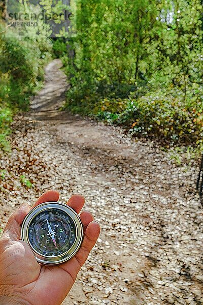 Kompass auf einem Waldweg
