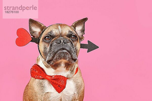 Valentinstag Französisch Bulldogge Hund mit Amor Liebe Pfeil und Fliege auf rosa Hintergrund mit Kopie Raum