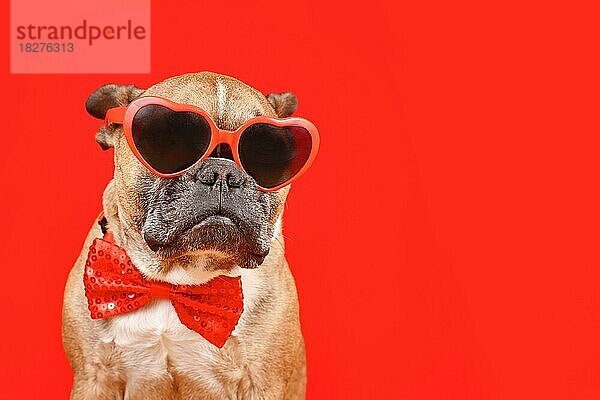 Lustige französische Bulldogge Hund trägt herzförmigen Valentinstag Brille und Fliege auf rotem Hintergrund mit Kopie Raum