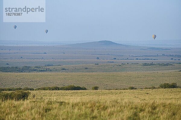 Savannenlandschaft mit Heißluftballon am Morgen  Masai Mara National Reserve  Kenia  Afrika