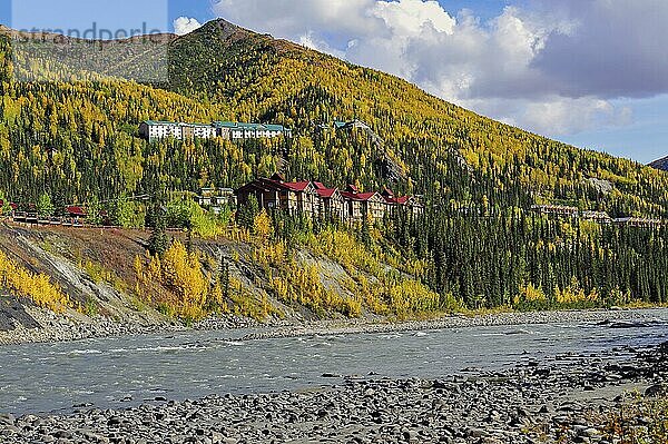 Mc Kinley Village  Herbststimmung  vorne Nenana River  Zentral-Alaska  Alaska  USA  Nordamerika