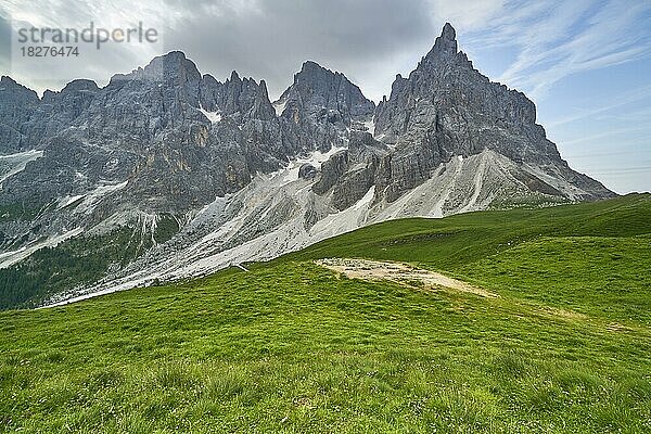 Grüne Almwiesen mit Bergpanorama  Cimon della Pala  Palagruppe  Parco Naturale Paneveggio Pale di San Martino  Rollepass  Südtirol  Italien  Europa