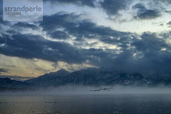 Hopfensee mit Wolkenhimmel zur Blauen Stunde  Hopfensee  Füssen  Ostallgäu  Bayern  Deutschland  Europa