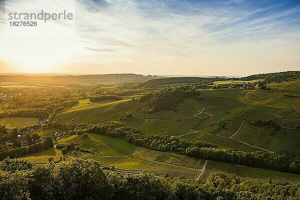 Weinberge  Chateau-Chalon  Sonnenuntergang  Plus beaux villages de France  Departement Jura  Bourgogne-Franche-Comté  Frankreich  Europa