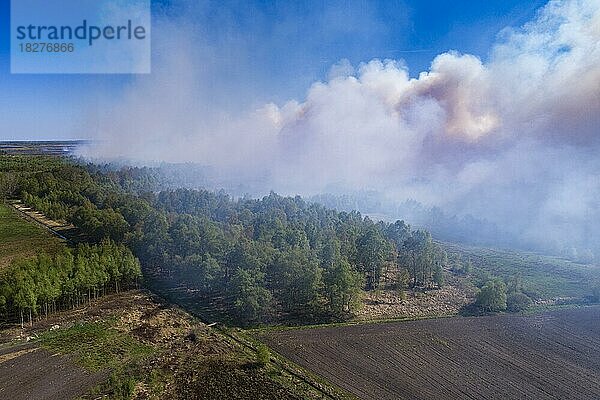 Brand im Goldenstedter Moor  Moorbrand  Goldenstedt  Niedersachsen  Deutschland  Europa