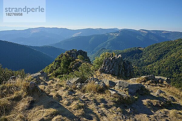 Bergkette  Bergkam  morgen  Sommer  Hohneck  La Bresse  Vogesen  Elsass-Lothringen  Frankreich  Europa