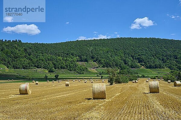 Landschaft mit Heuwiese und Strohballen  Großheubach  Miltenberg  Untermain  Spessart  Franken  Bayern  Deutschland  Europa