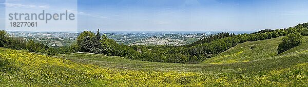 Blick in die Hügellandschaft mit Erosionstälern und Blumenwiesen  Emilia-Romagna  Italien  Europa