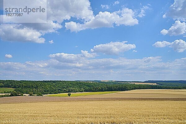 Feldlandschaft mit abgeernteten Getreidefeldern im Sommer  Arnstein  Franken  Bayern  Deutschland  Europa