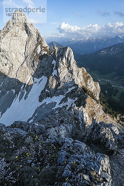 Abenstimmung  Gipfel der Roten Flüh  Tannheimer Berge  Allgäuer Alpen  Tirol  Österreich  Europa