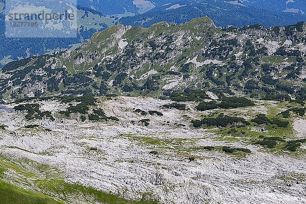 Blick vom Hoher Ifen  2230m  auf das Gottesackerplateau  Karstlandschaft  Kleinwalsertal  Vorarlberg  Allgäuer Alpen  Österreich  Europa