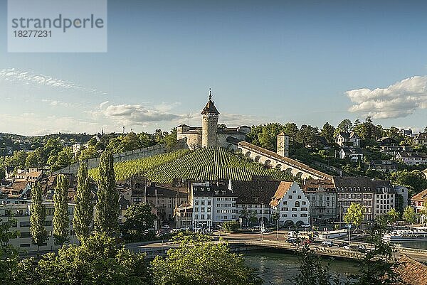 Blick auf die Altstadt von Schaffhausen mit der Festungsanlage Munot  Schaffhausen  Kanton Schaffhausen  Schweiz  Europa