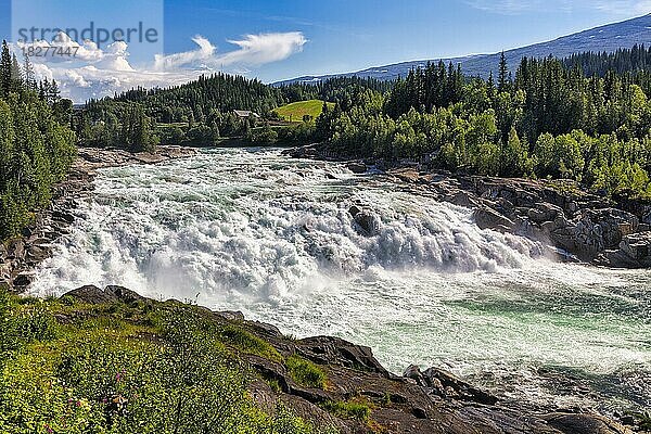 Wasserfall Laksforsen  Fluss Vefsna  Nordland  Norwegen  Europa