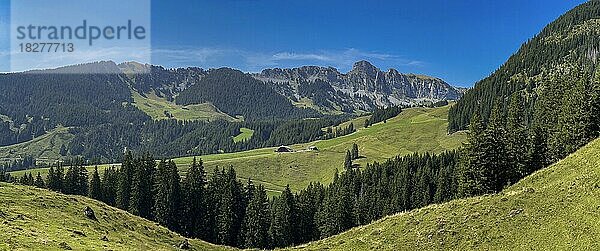 Blick auf Schwändiflueh  Sattelpass  Obwalden  Schweiz  Europa