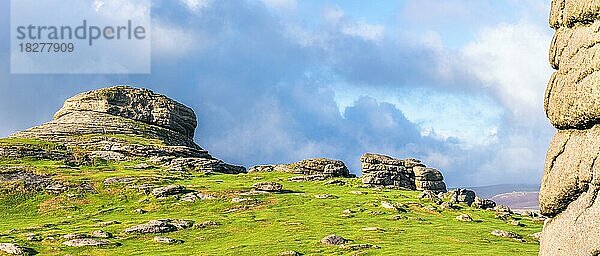 Haytor Rocks  Nationalpark Dartmoor  Devon  England  Vereinigtes Königreich