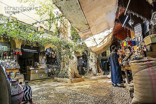 Grüner Innenhof mit Geschäften mit traditionellen marokkanischen Produkten in Fes  Marokko  Nordafrika  Afrika