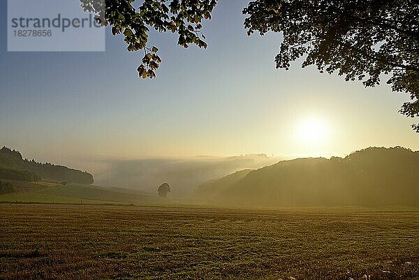 Sonnenaufgang über dem Diemelbergland  Naturpark Diemelsee  Hessen  Deutschland  Europa